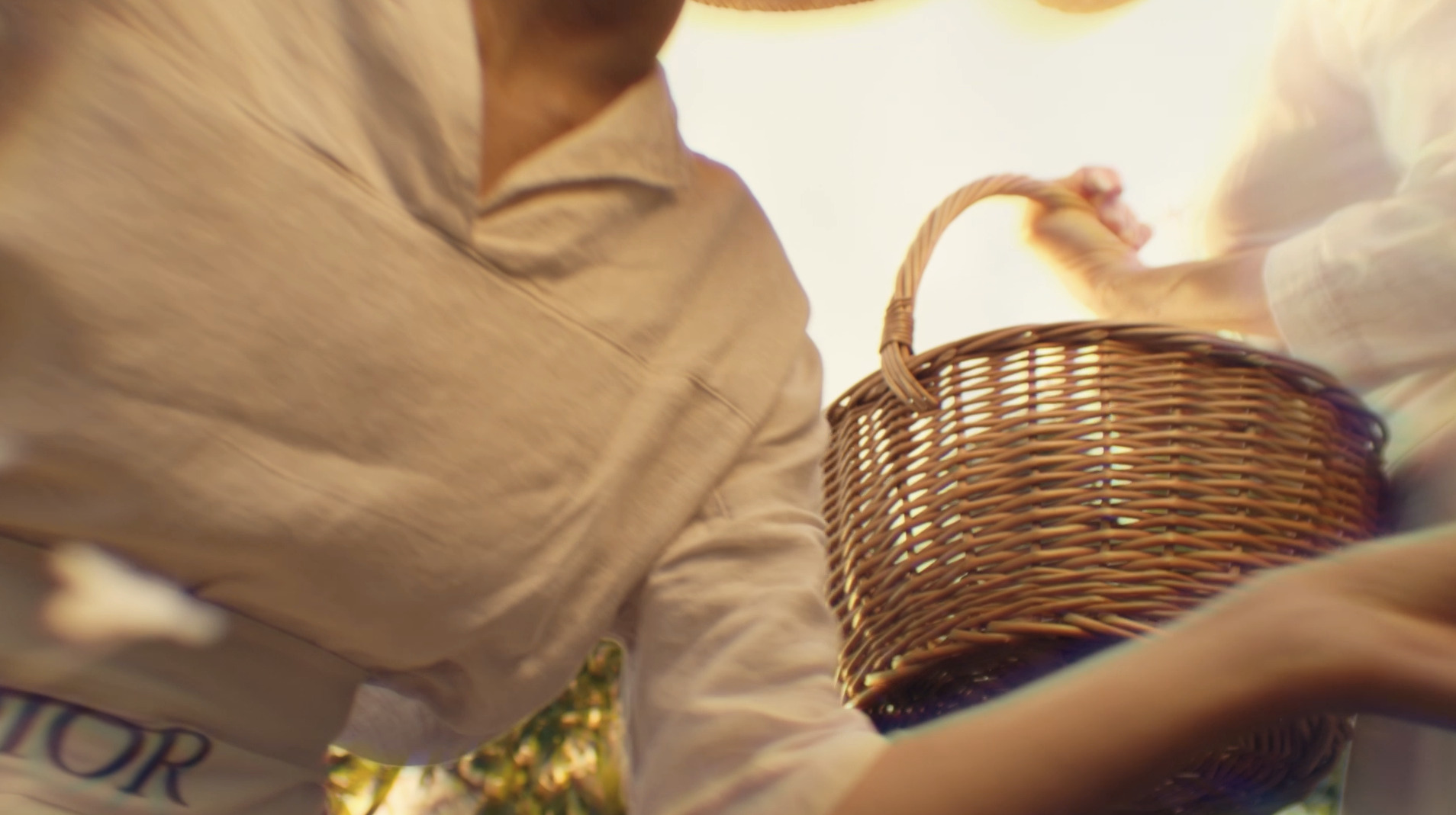 Cuuut, project-player: Dior / Incanto (fig. 2)